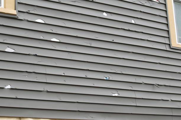 Affordable siding repair and maintenance services in Holly Springs, MS